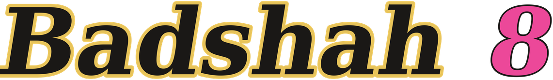 Badshah 8 logo
